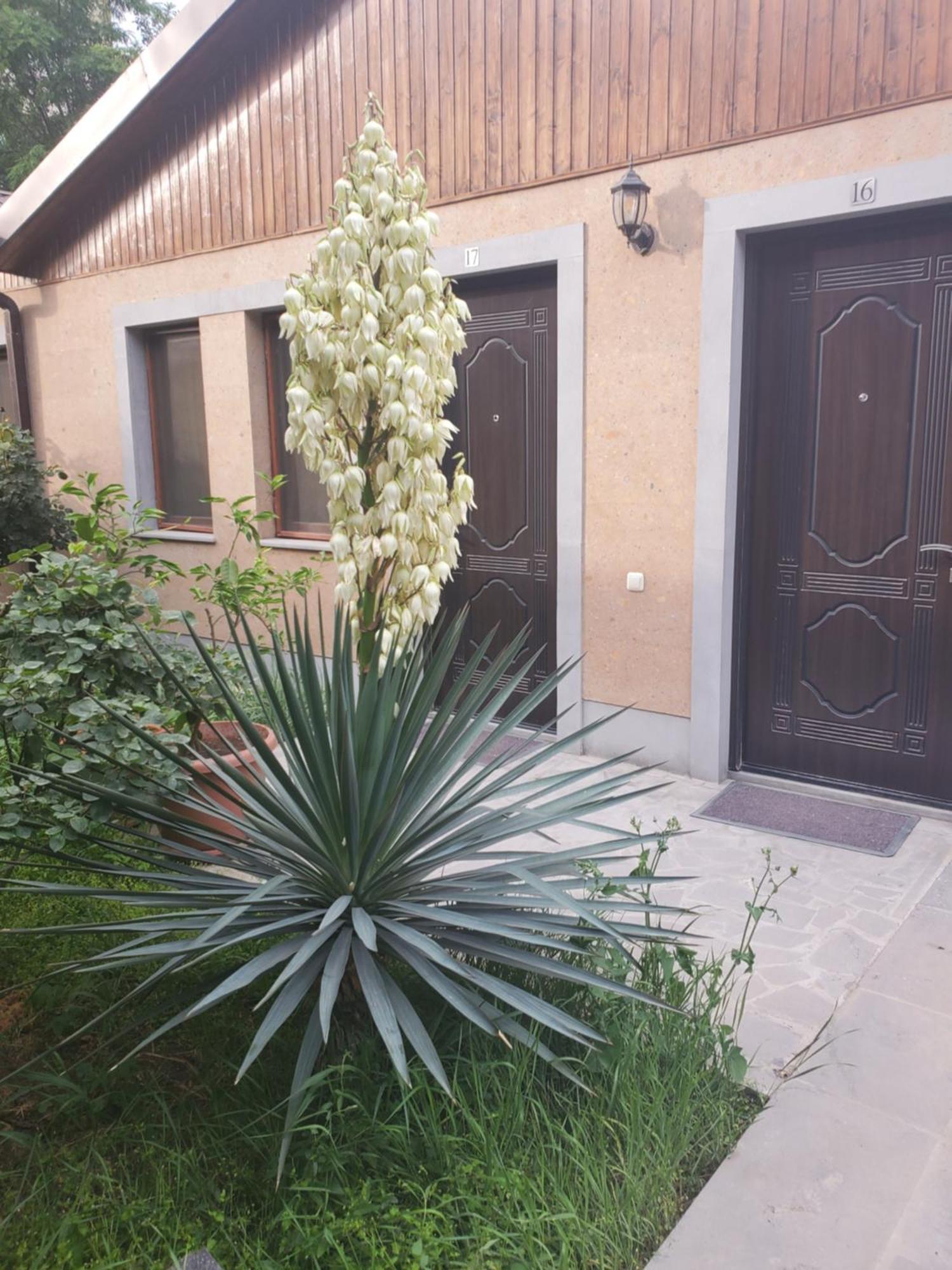 Eridana Hotel Erivan Exterior foto